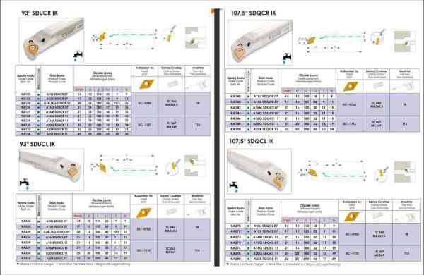 SDQCR İç Paso Kateri