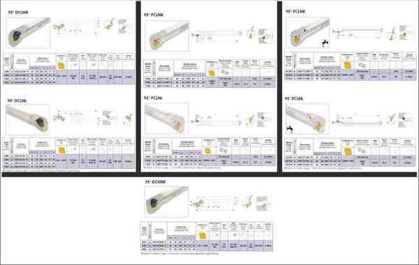 DCLNR İç Paso Kateri