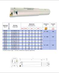 CCMT Hassas Bara Seti 40-50 L65 mm CCMT 0602 THKB132