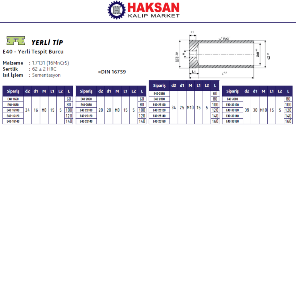 TESPİT BURCU (YERLİ TİP) TB-E40