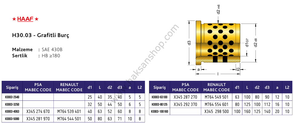 H30.03 Grafitli Burç