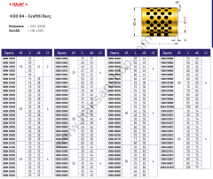 H30.04 Grafitli Burç