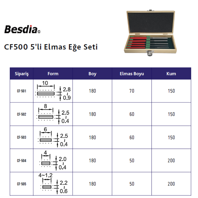 Elmas Eğe Seti  5'li BESDİA CF500 Kutulu